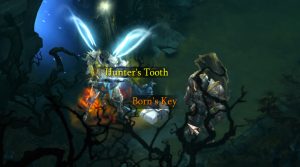 Born's Key Drop